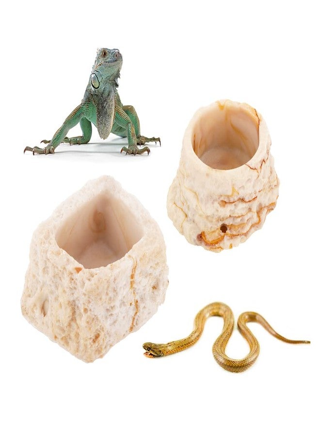 DQITJ 2 Pack Micro Water Bowl Mini Anti-Turnover Resin Dish for Lizard Frog Scorpion Corn Snake Reptiles - Image 1